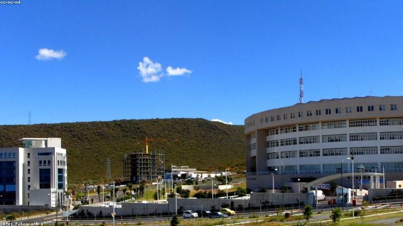 9 1免费看网站首页界面展示，一网皆可览的极简观看入口